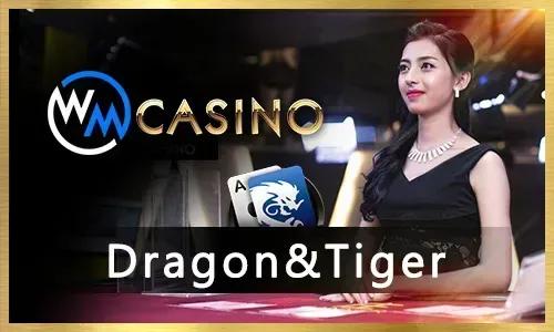 Vibrant online casino games, including popular slots and classic table games at ph33.